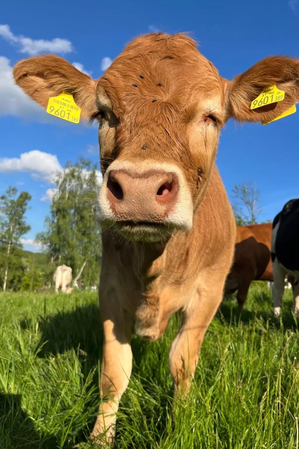 Wandlhof Ferienwohng-Buiten