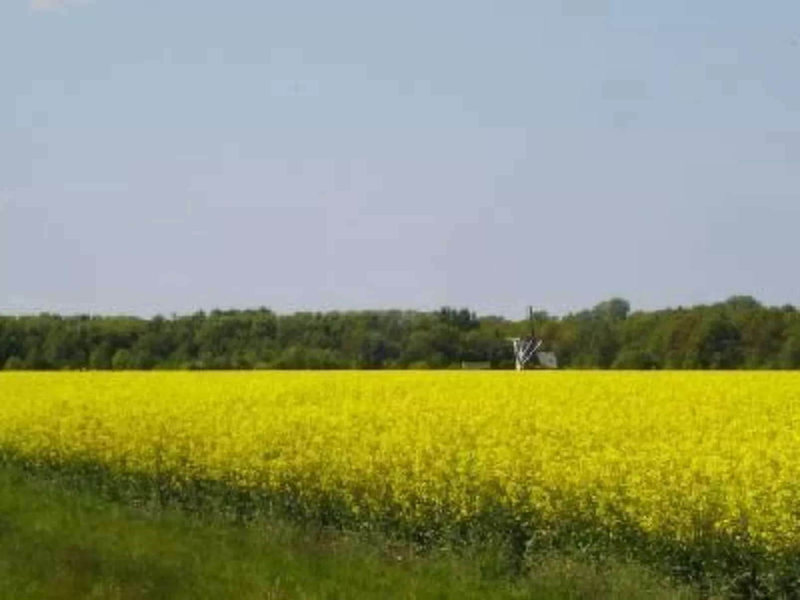 Gemütlicher Ferienhof Loosternest in Vriescheloo-Buiten