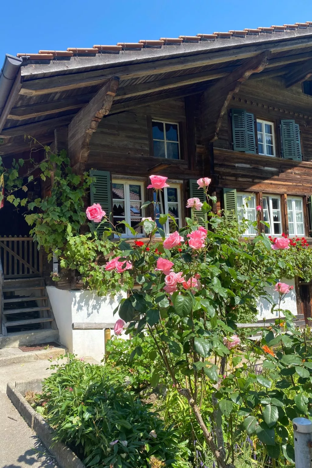 „Seesicht“ - Buiten