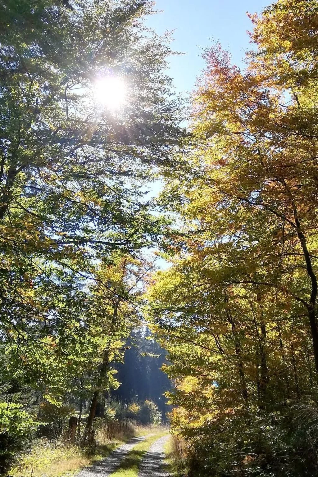 Haus Schnurbus - Buiten