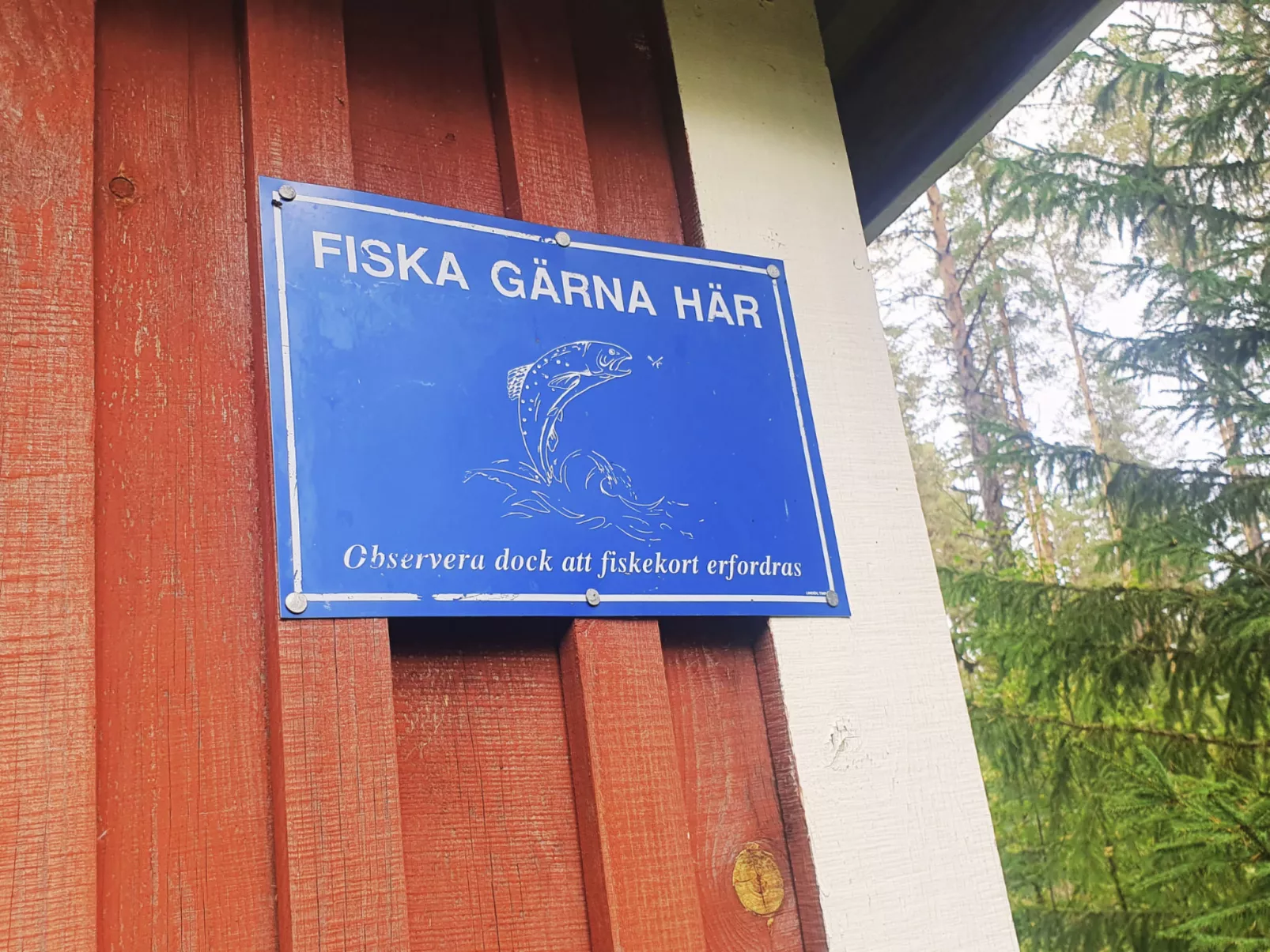 Gemütliches Ferienhaus Angermanland - höga Kusten-Buiten