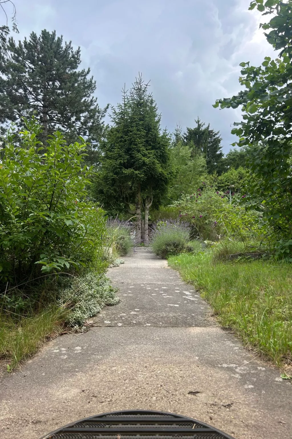 Datscha im Grünen-Buiten