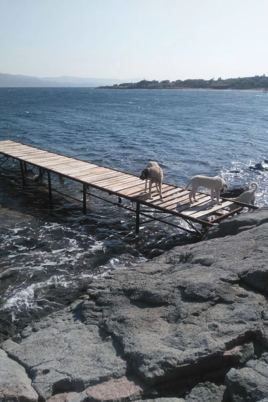 Assos Sivrice Gästehaus-Buiten