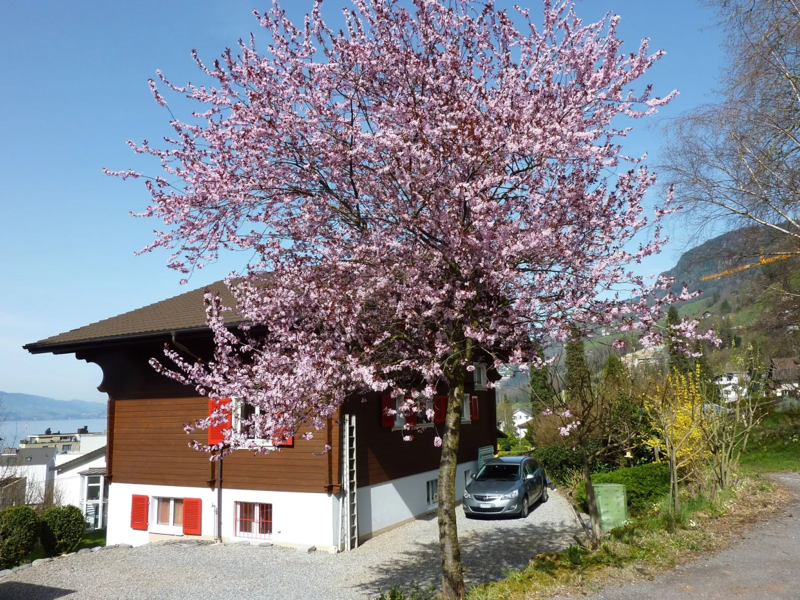 Chalet Bärgblick-Buiten