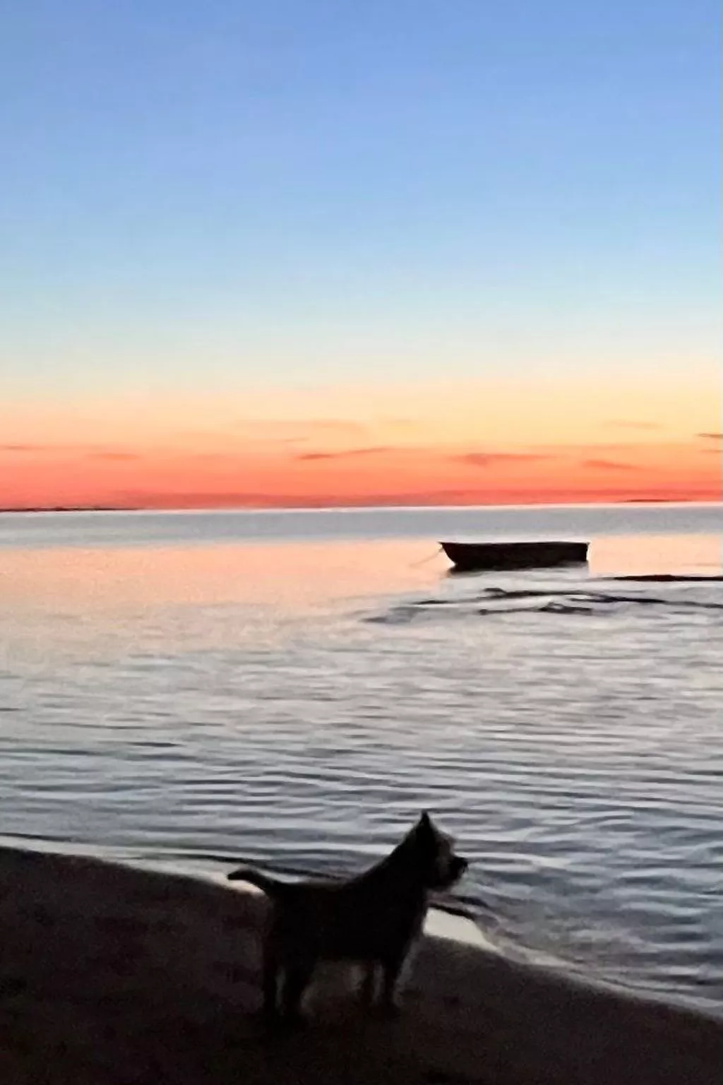 Stormy im Nauticum-Buiten