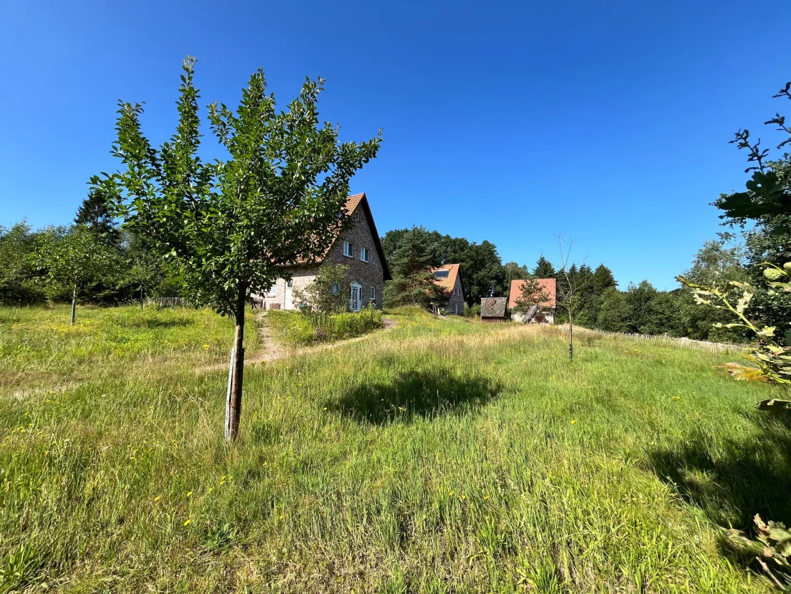 Haus Hartriegel im Bispinger Heidezauber-Buiten