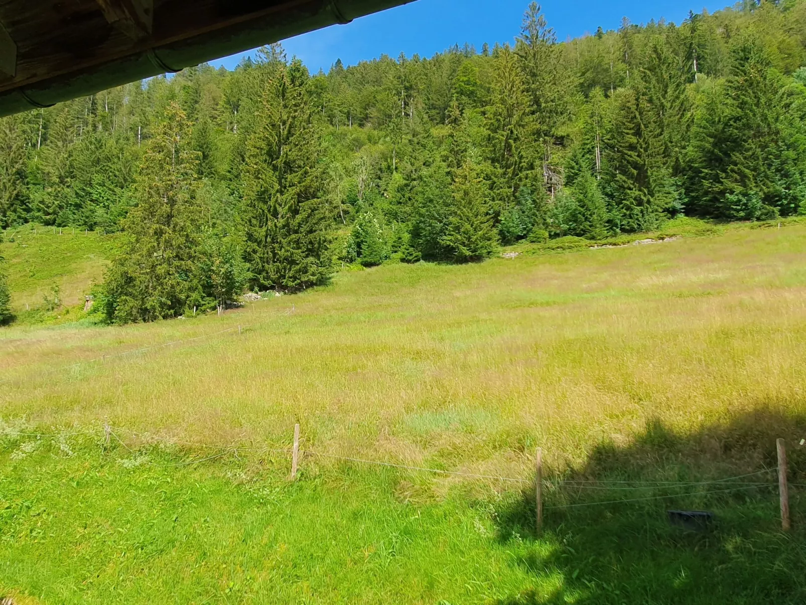 Gästehaus a Feldberg-Buiten