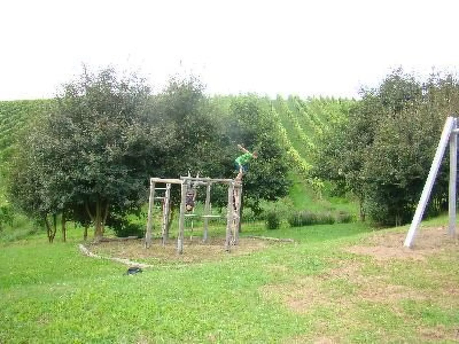 Altes Winzerhaus in Mesenich-Buiten