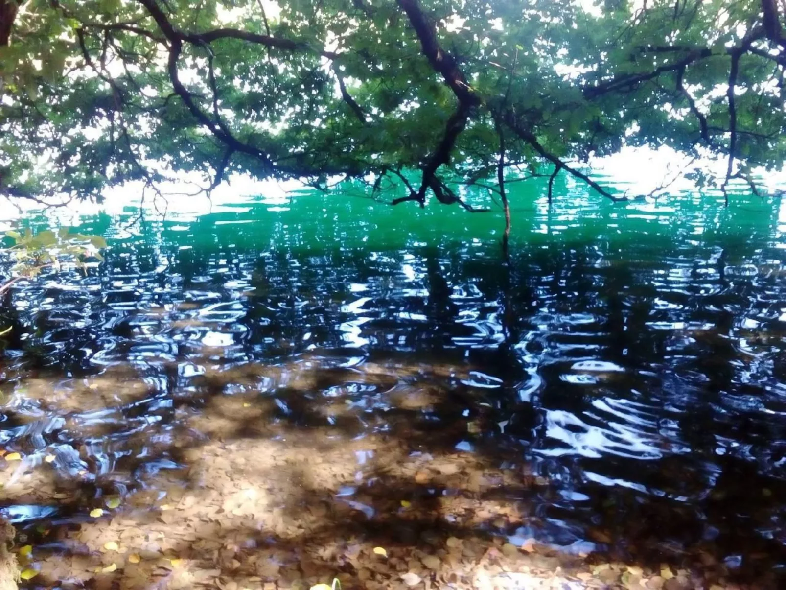 Landhaus Erika-Buiten