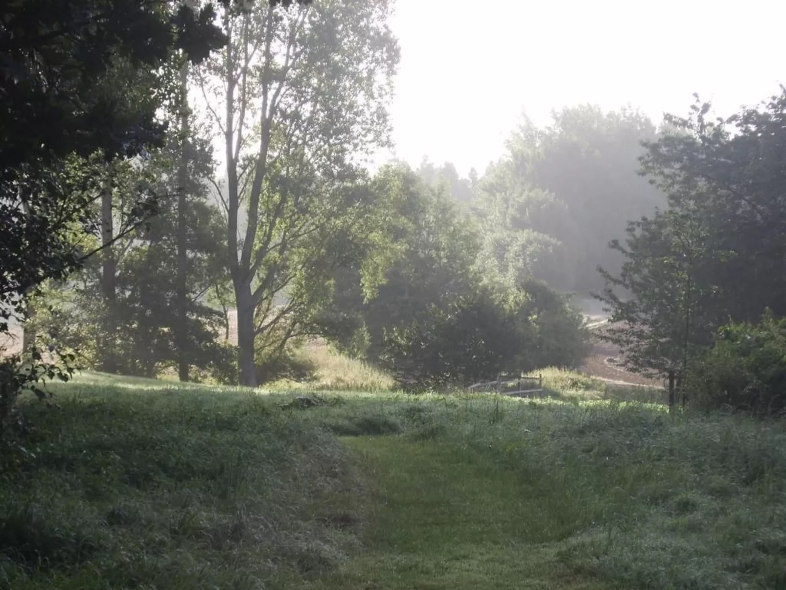 Hof Rodenkrog Fewo 2-Image-tags.info