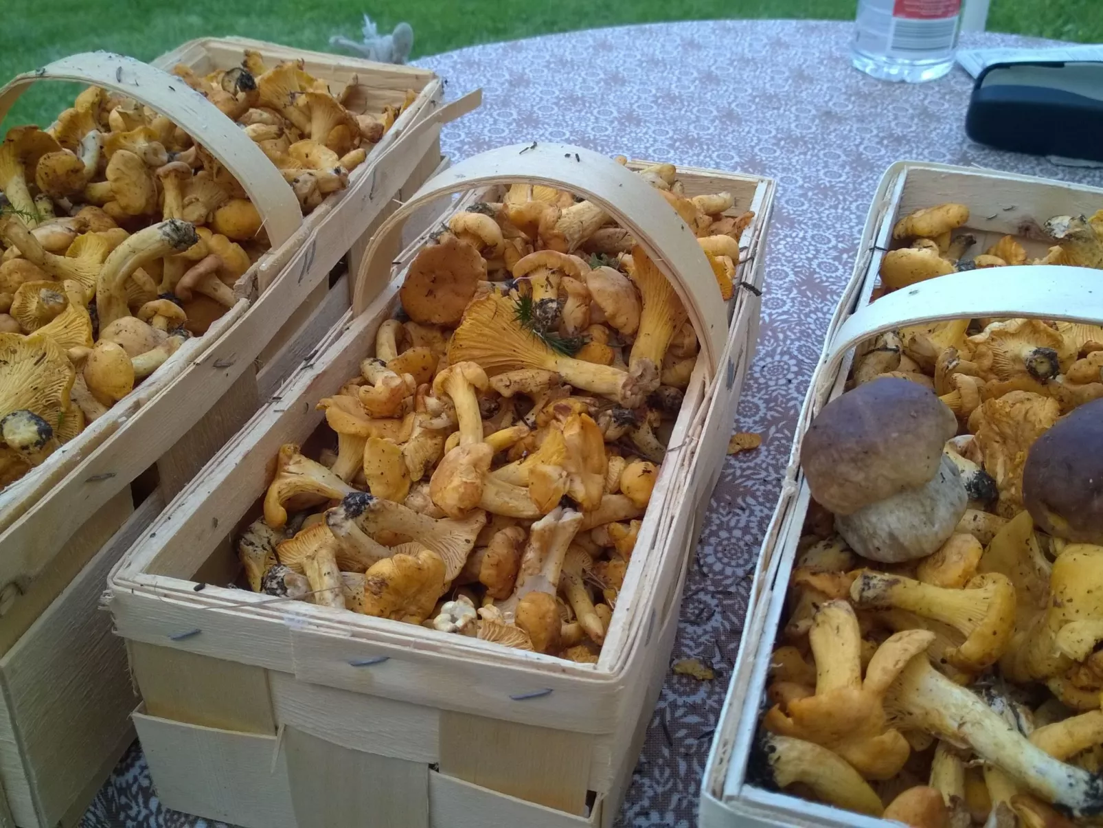 Charmantes Ferienhaus in Vordernberg mit Privatem Pool-Image-tags.info