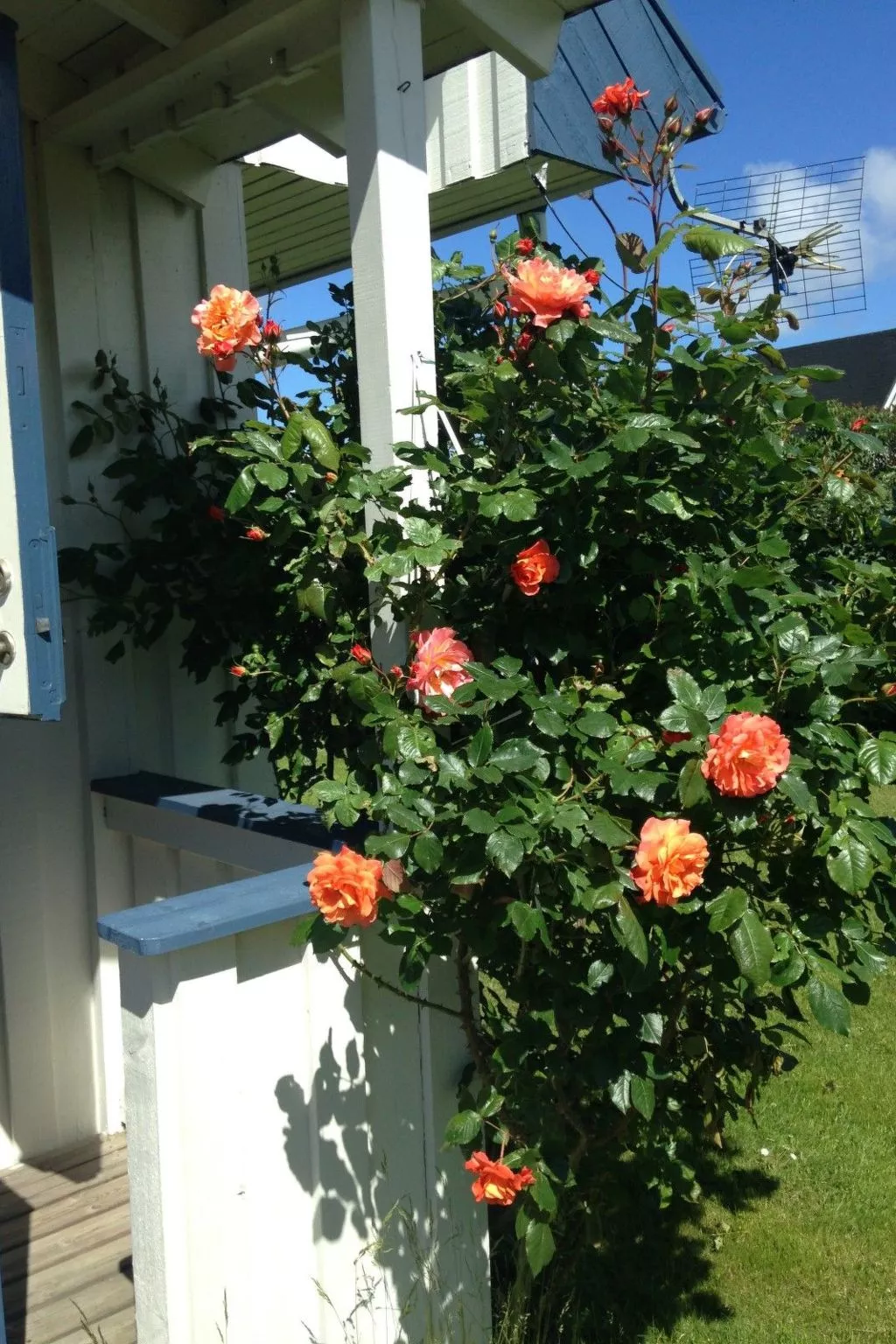 "Torekov" mit Blick auf das Wasser-Buiten