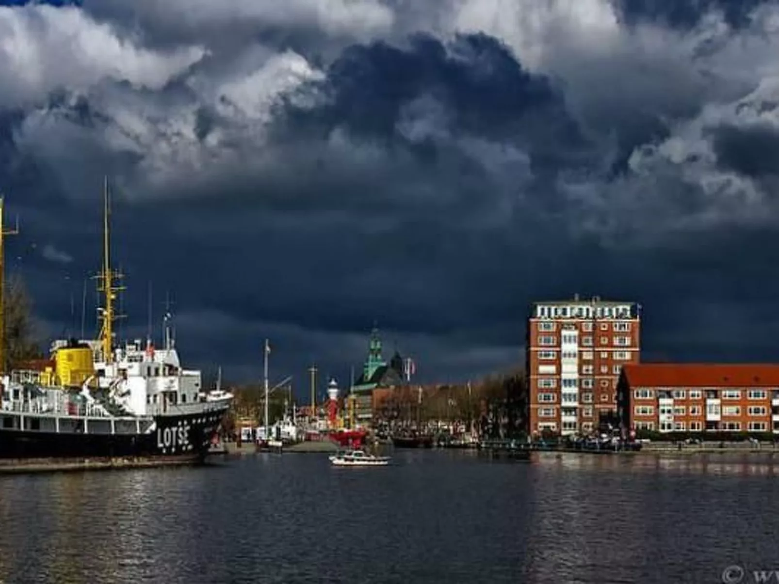 Seepferdchen-Image-tags.info