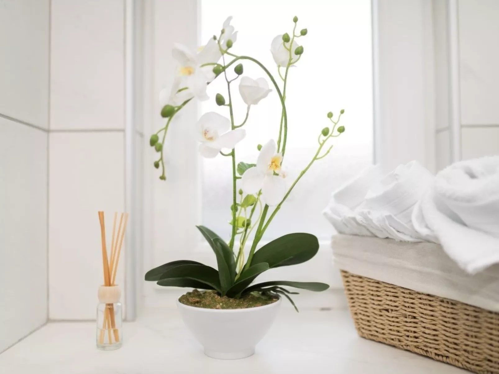 In Primošten mit privatem Pool-Image-tags.info