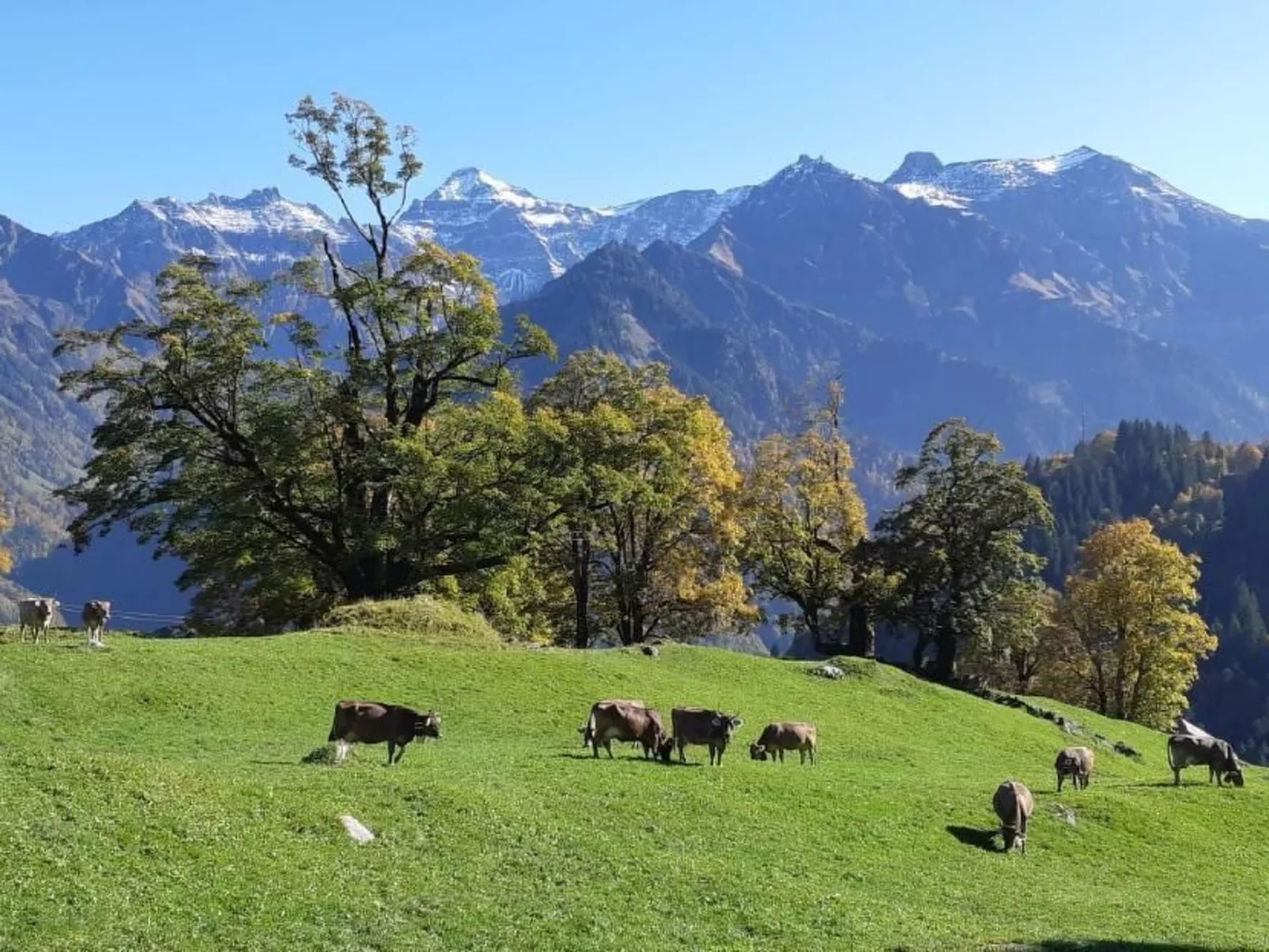 Rietberg 8 Braunwald-Buiten