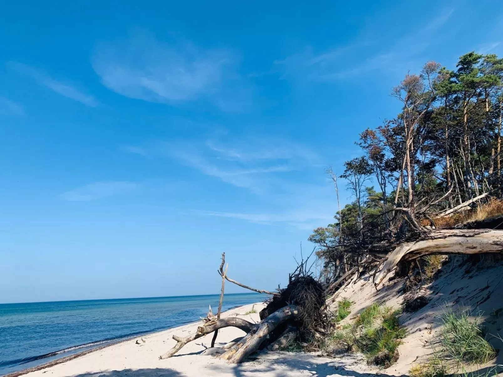 Wohnung 1-Image-tags.info