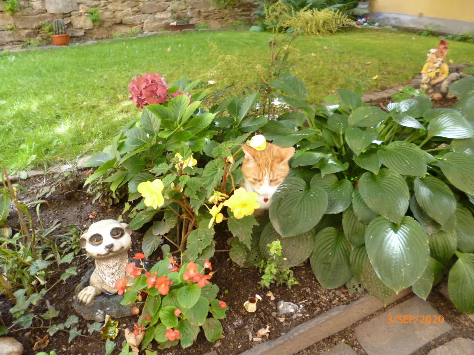 Im Vierseitenhof-Buiten