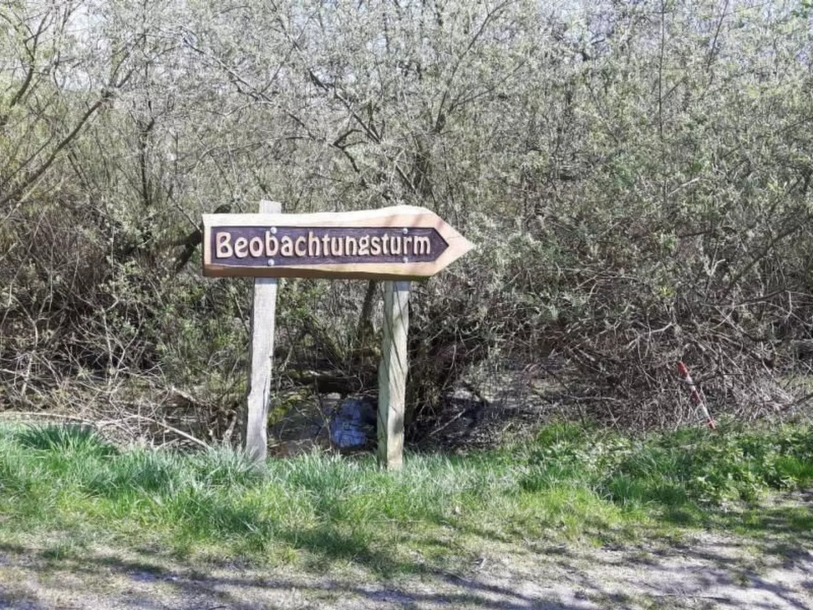 Ferienhaus Claire am Klostersee Urlaub mit Hund-Buiten