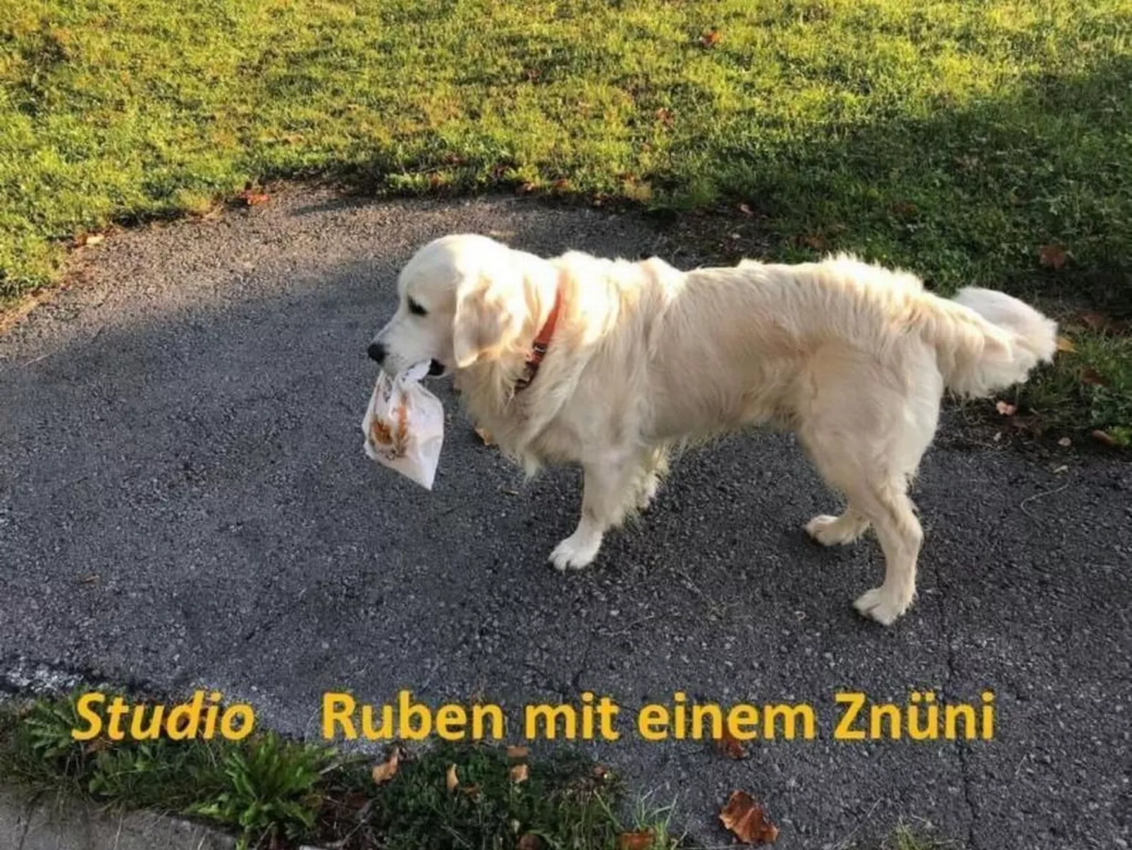 Studio Ruben 2-Bett Wohnung-Buiten