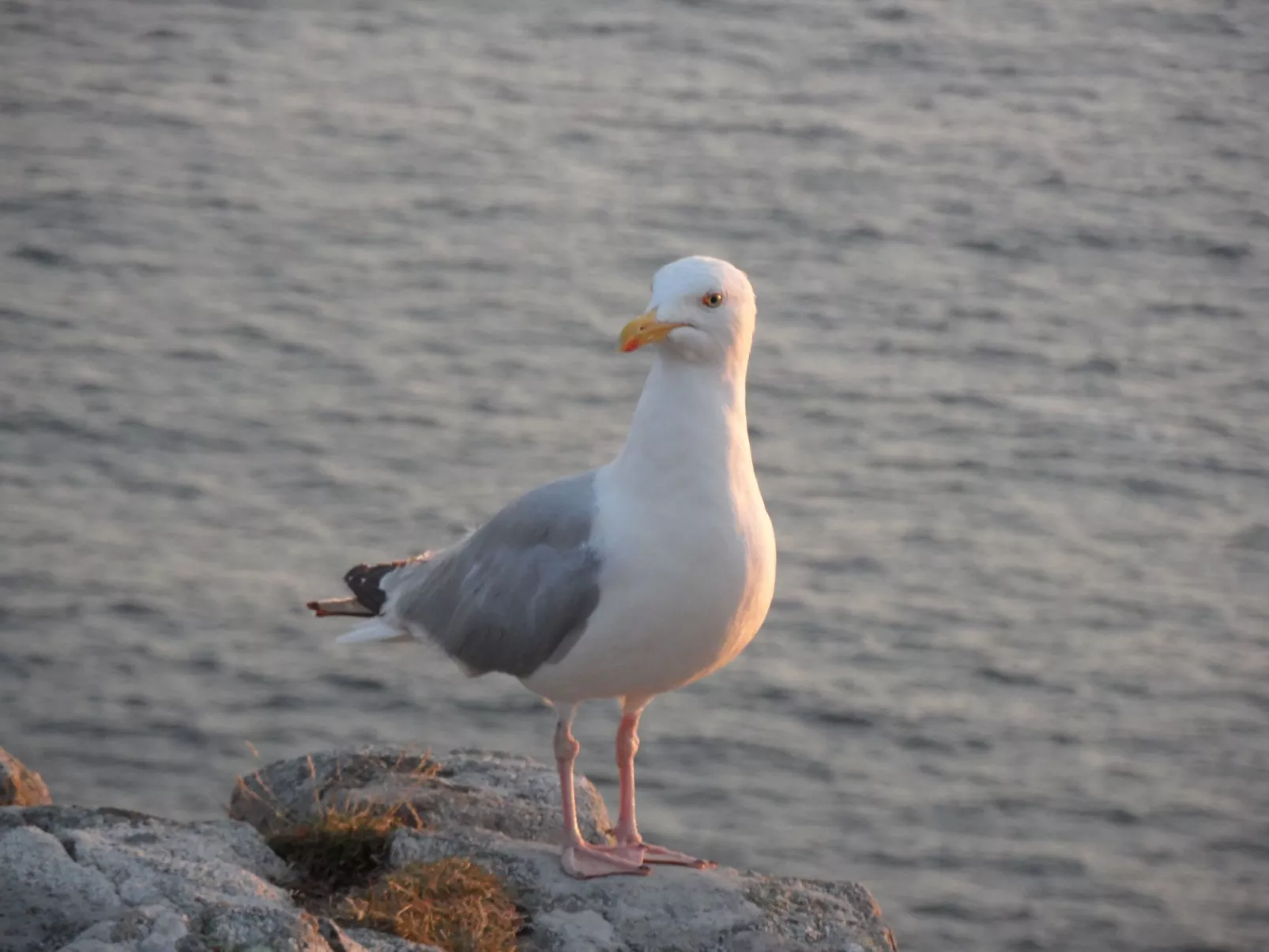 Gîte du four à pain (Unterkunft im Brotofen)-Buiten