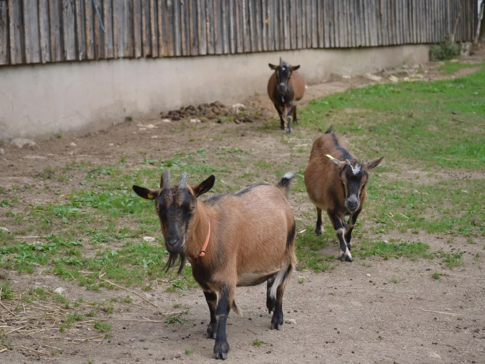 Mit zwei Schlafzimmern und Balkon-Buiten