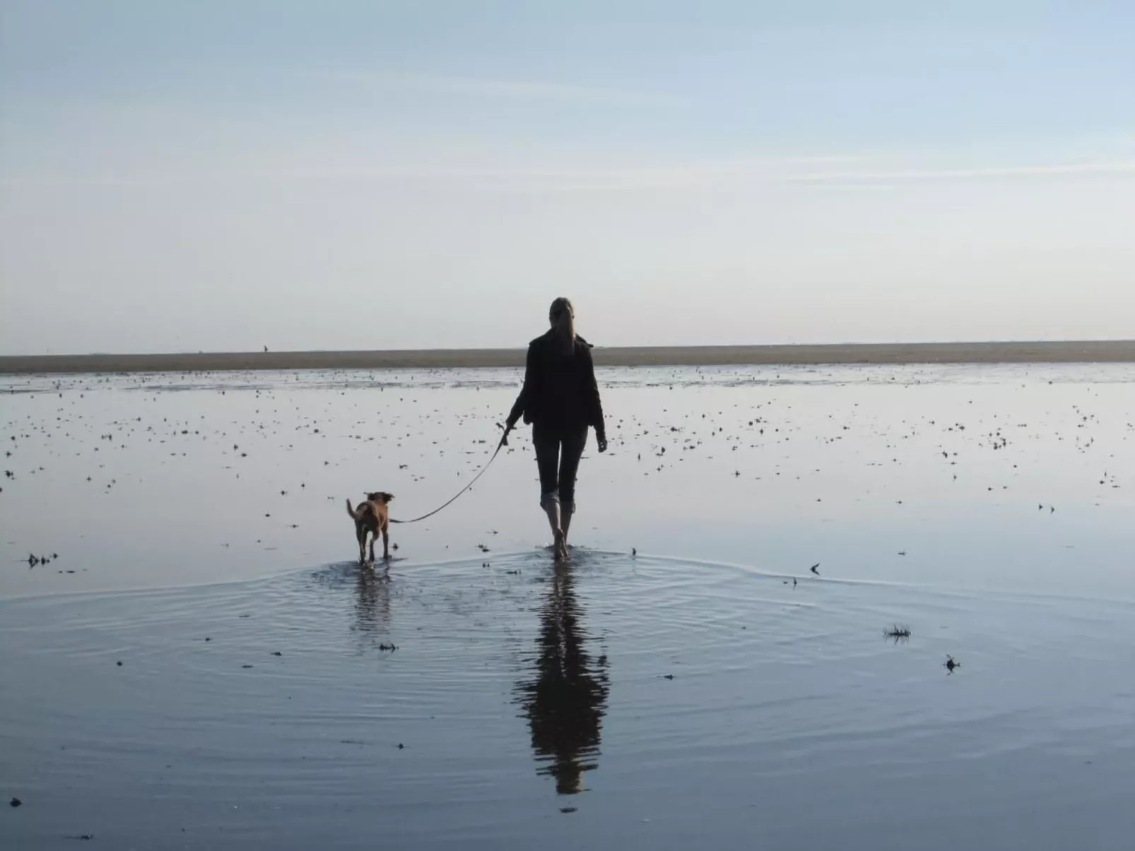 Ilka-Image-tags.info