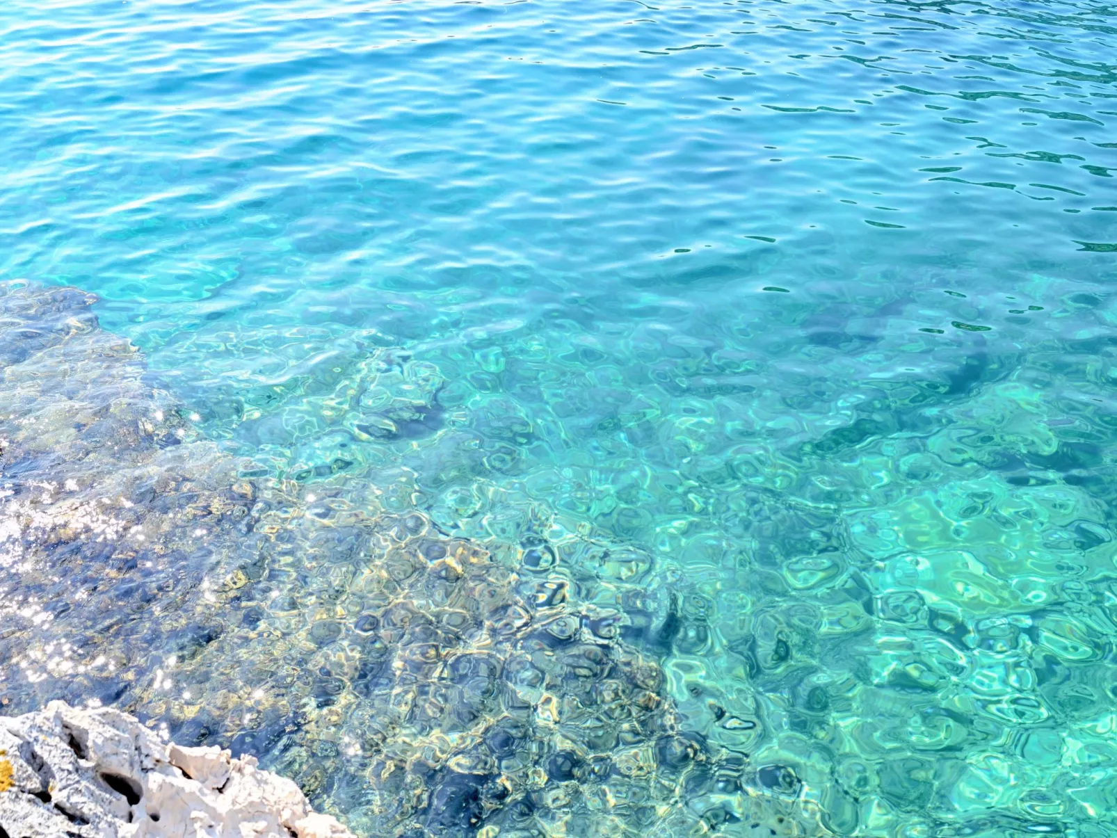 Garten Bungalow-Buiten