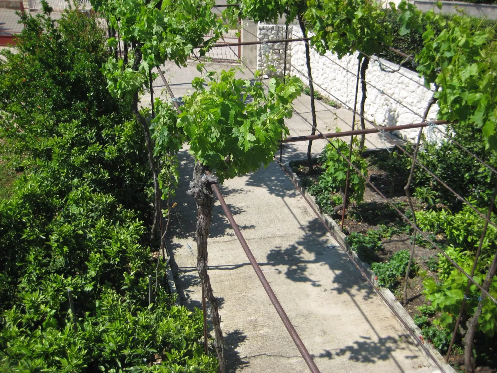 "Biserka" direkt am Strand-Buiten