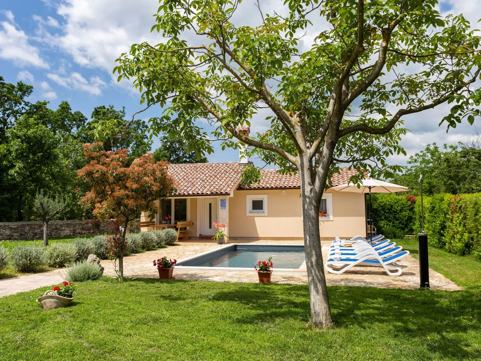 Ferienvilla Darko mit Schwimmbad-Buiten