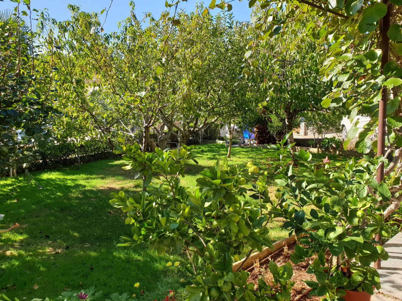 Apartment Nevenka-Image-tags.info