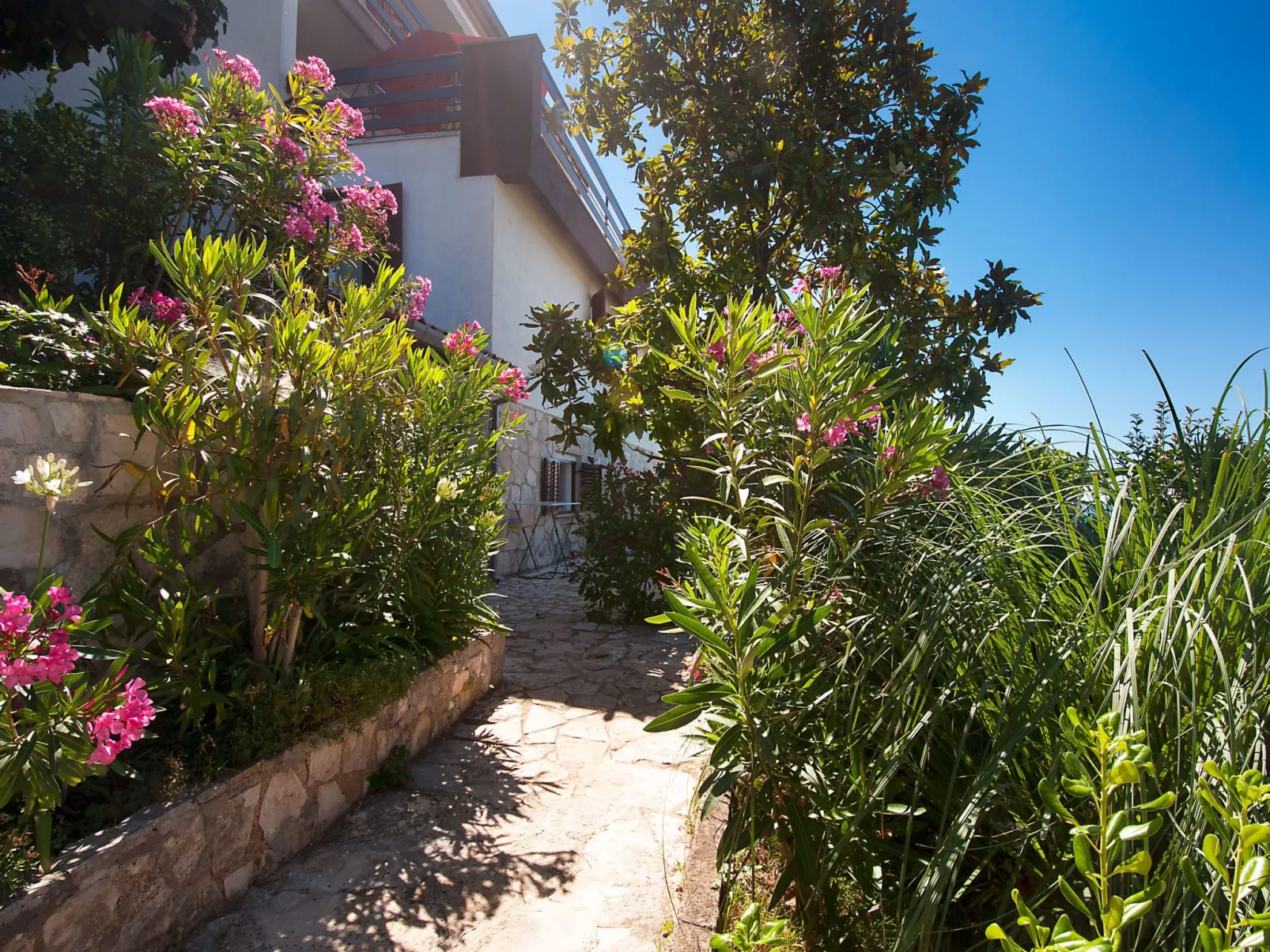 Studio-Wohnung "Olia Studio" mit Terrasse-Buiten