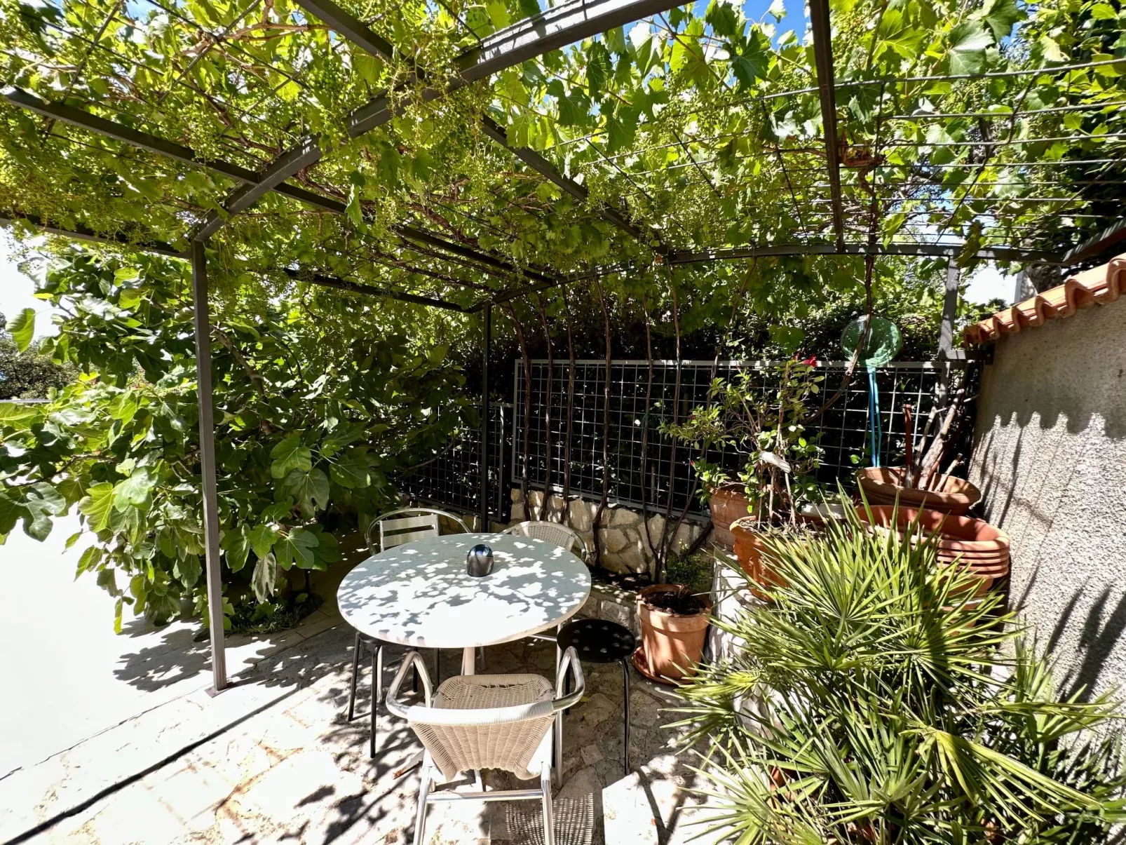 Wohnung Velvet Vista 4-Buiten