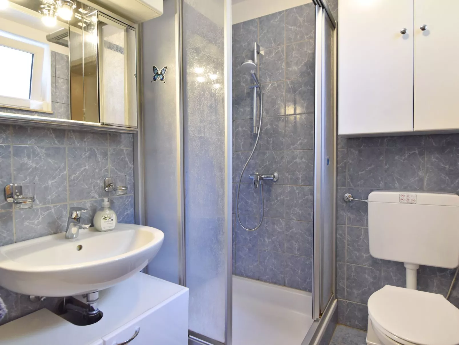 Geräumige Kellerwohnung in der Nähe von Umag-Binnen