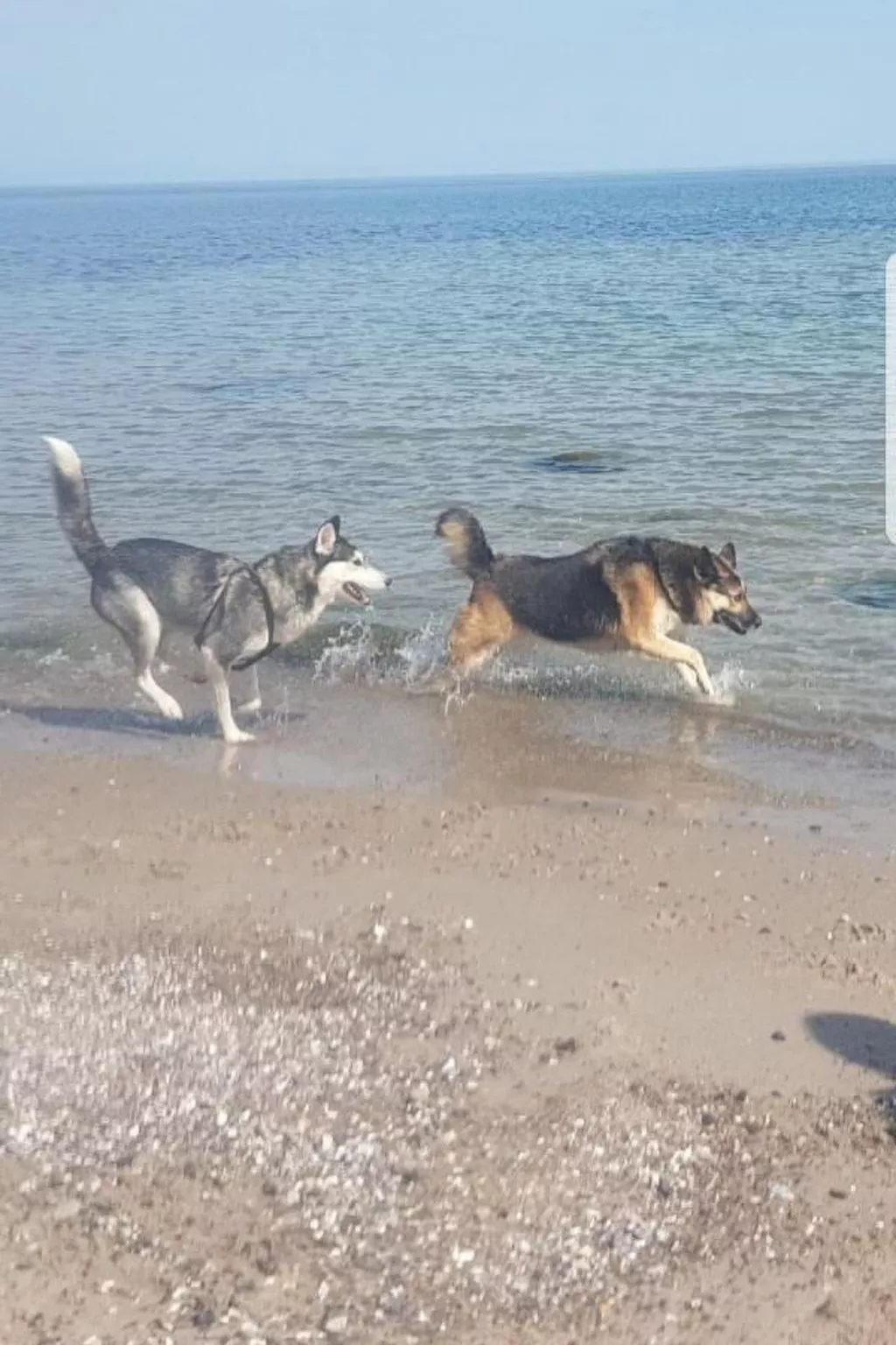 Cap Formentor - Buiten