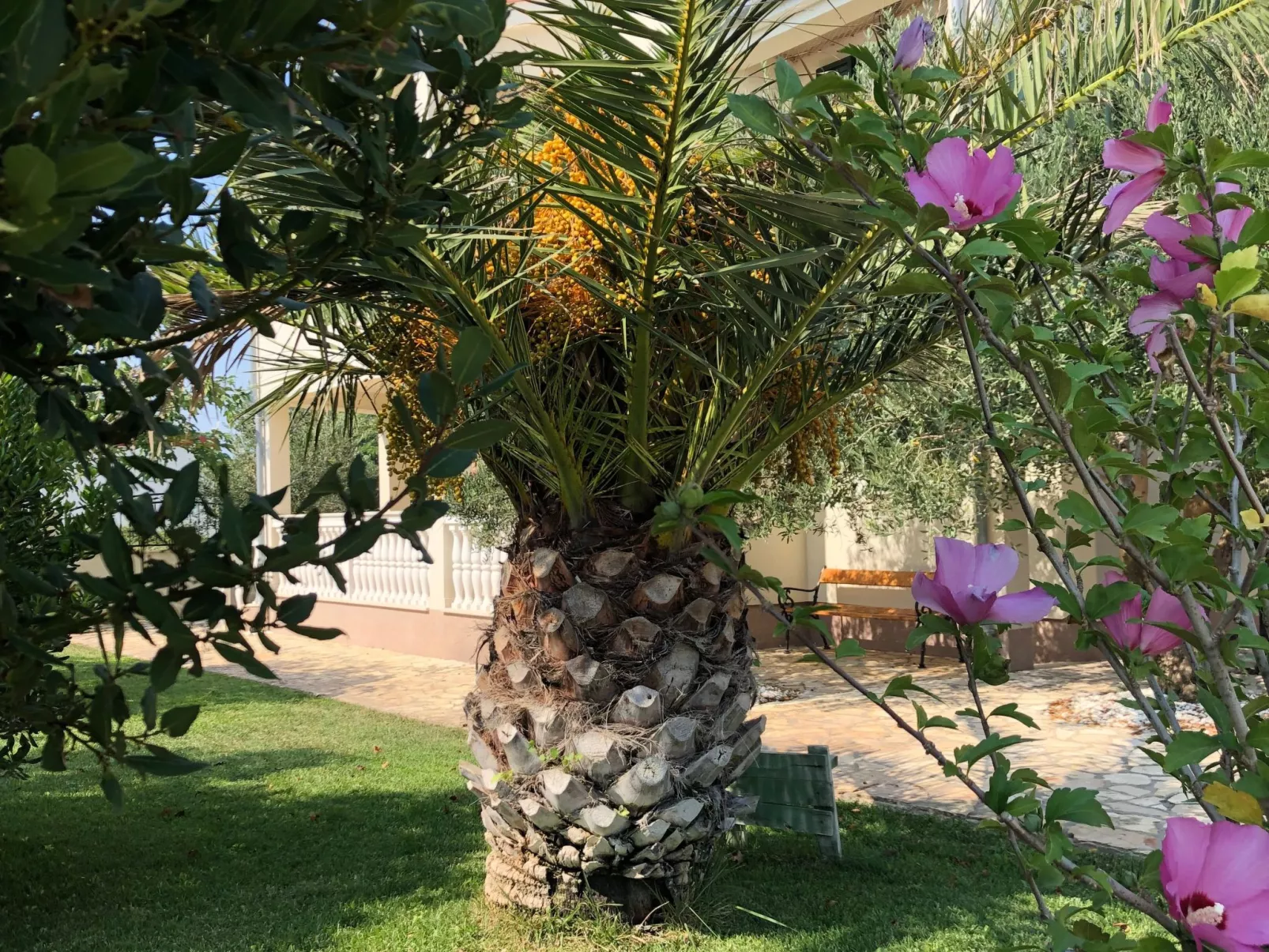 Villa Olive Grove-Buiten