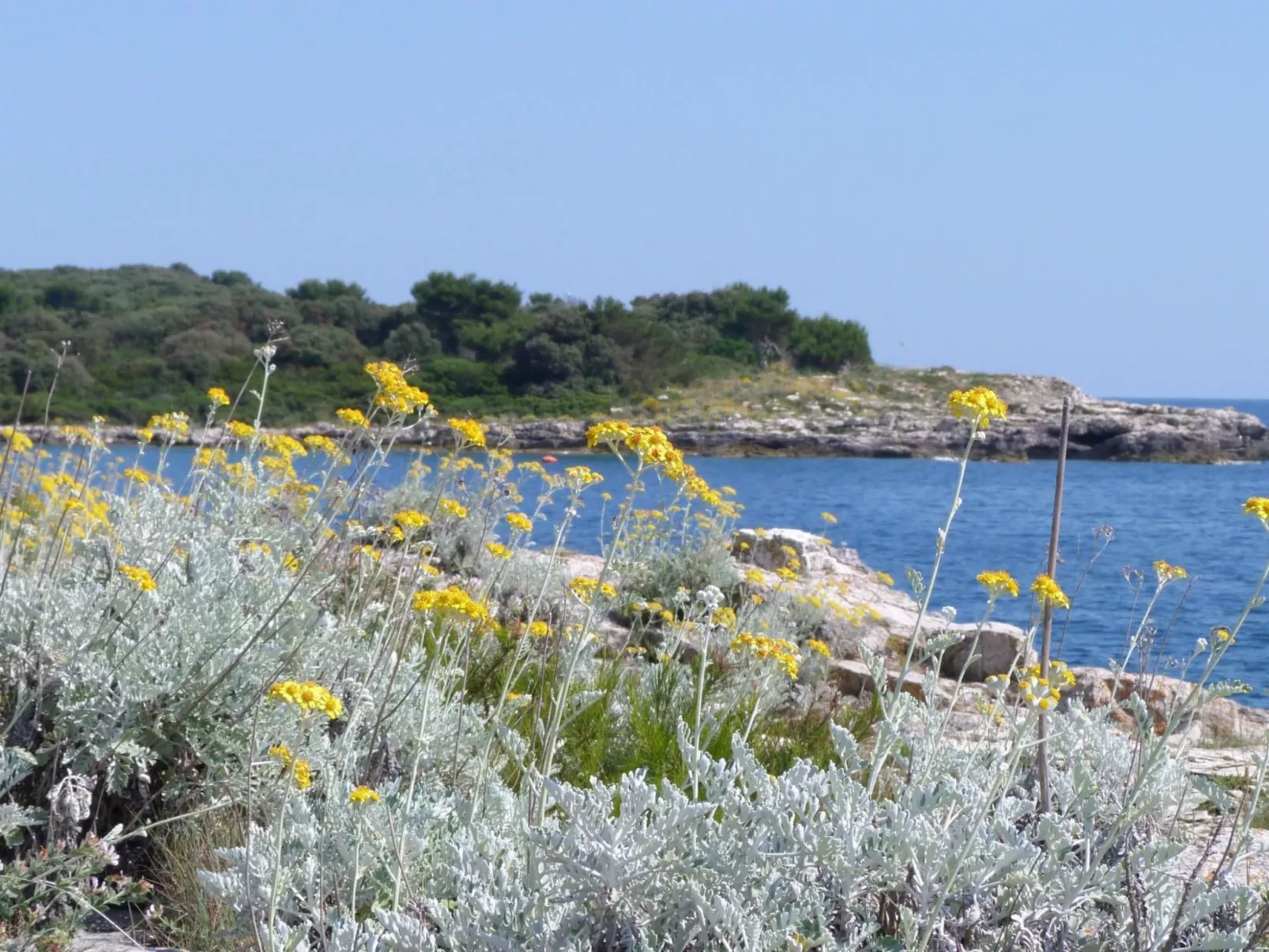 Apartment "Katja" mit Balkon-Buiten