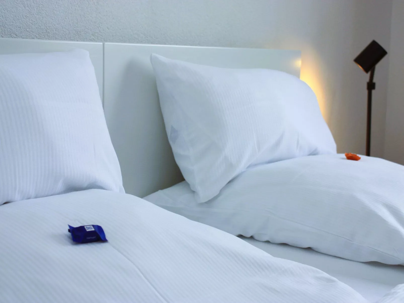 Wohlfühloase für Natur- und Gartenliebhaber-Binnen