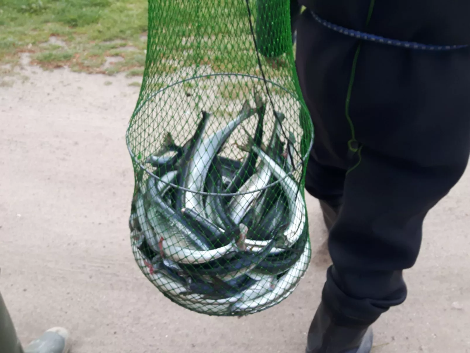 Schönes Schwedenhäuschen-Image-tags.info