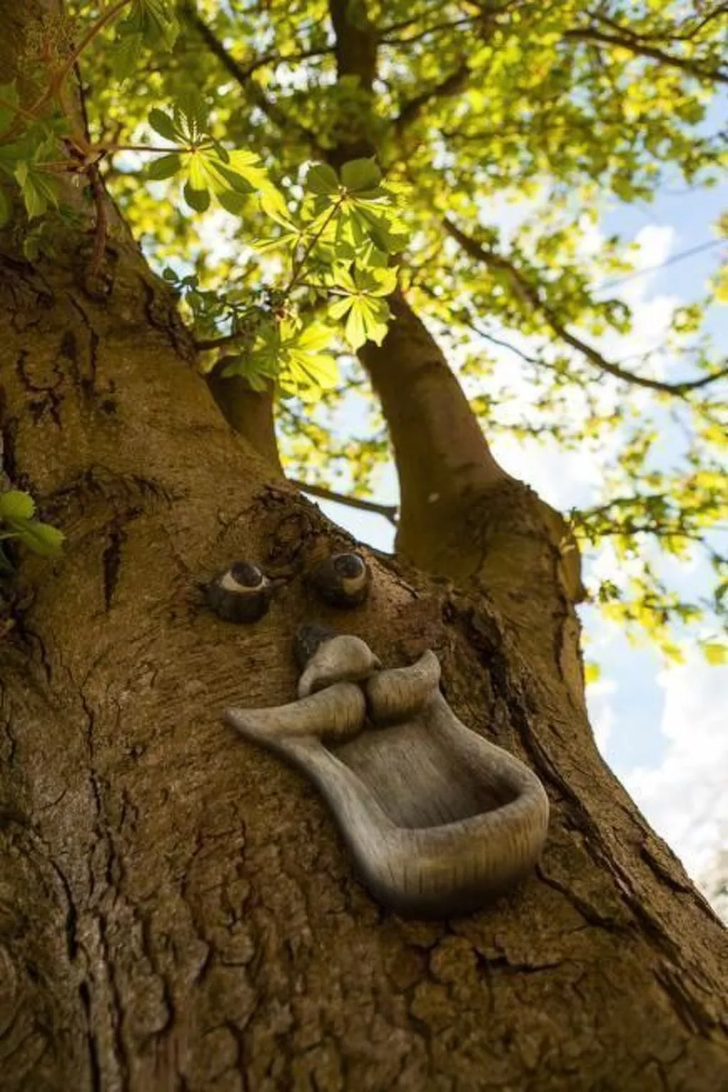 Am Rückerlhof-Katrin-Buiten