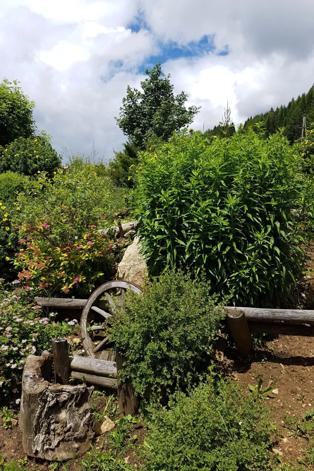 Almhütte Helmut Dischgerbrent in Sankt Margarethen-Buiten