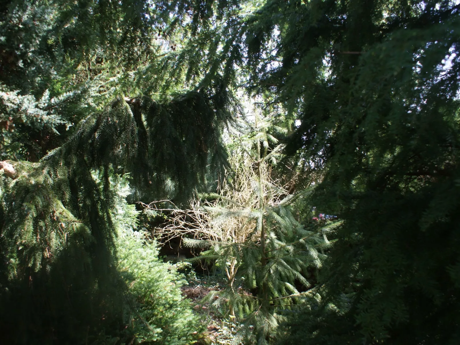 Ruhe am Meer - Ferienhäuser in den Gärten von Magra-Image-tags.info