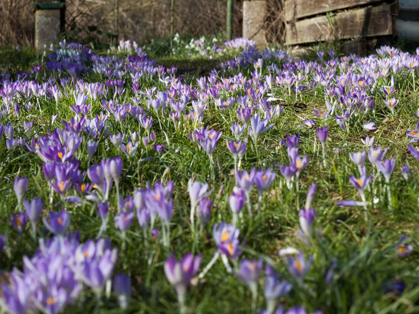 Am Apothekerberg-Buiten