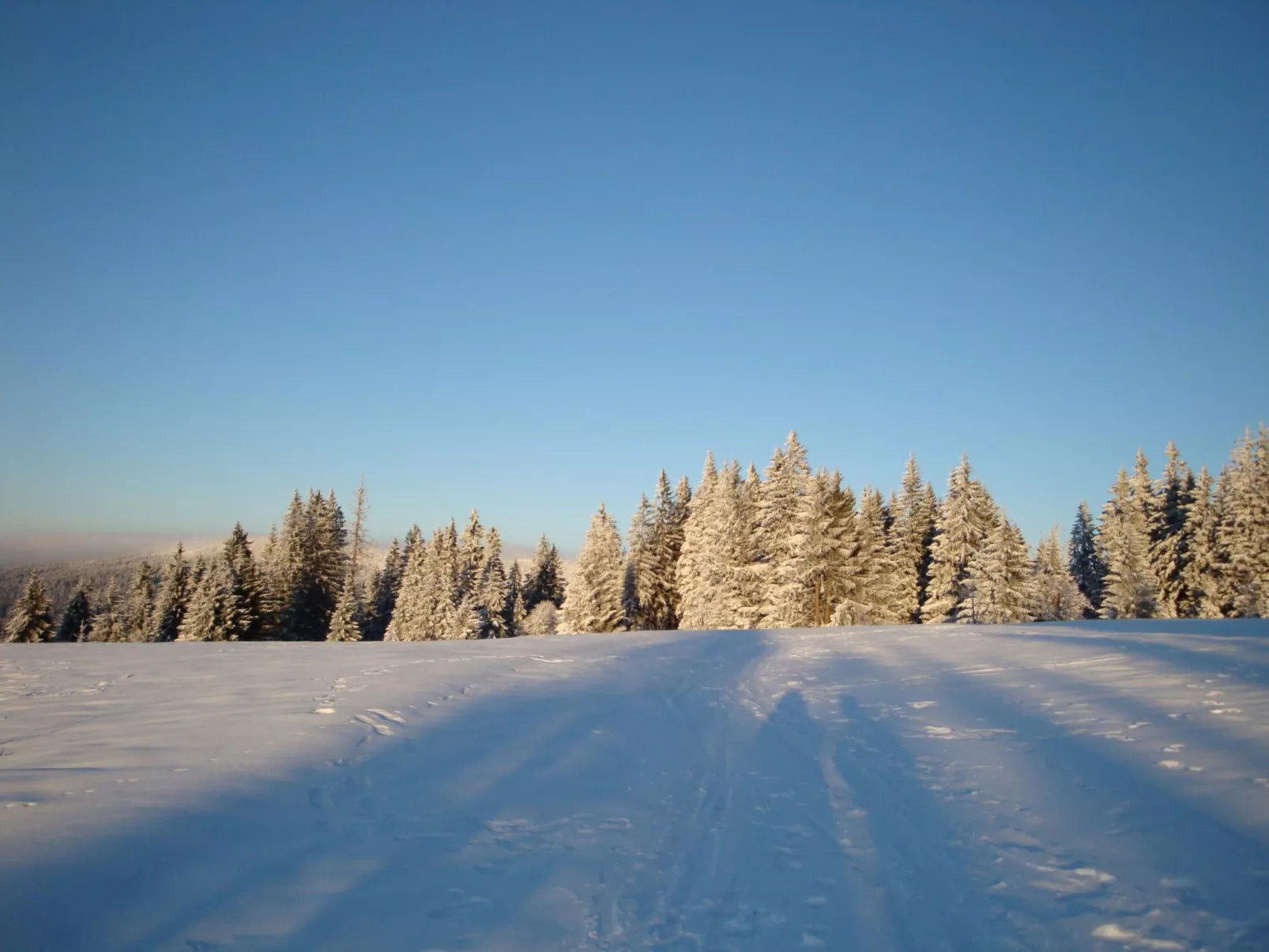 Seitz 2 in Bayerisch Eisenstein-Buiten