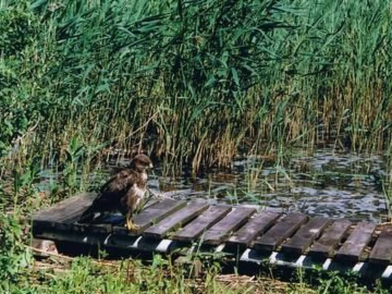 Uferpromenade 1 EG-Image-tags.info