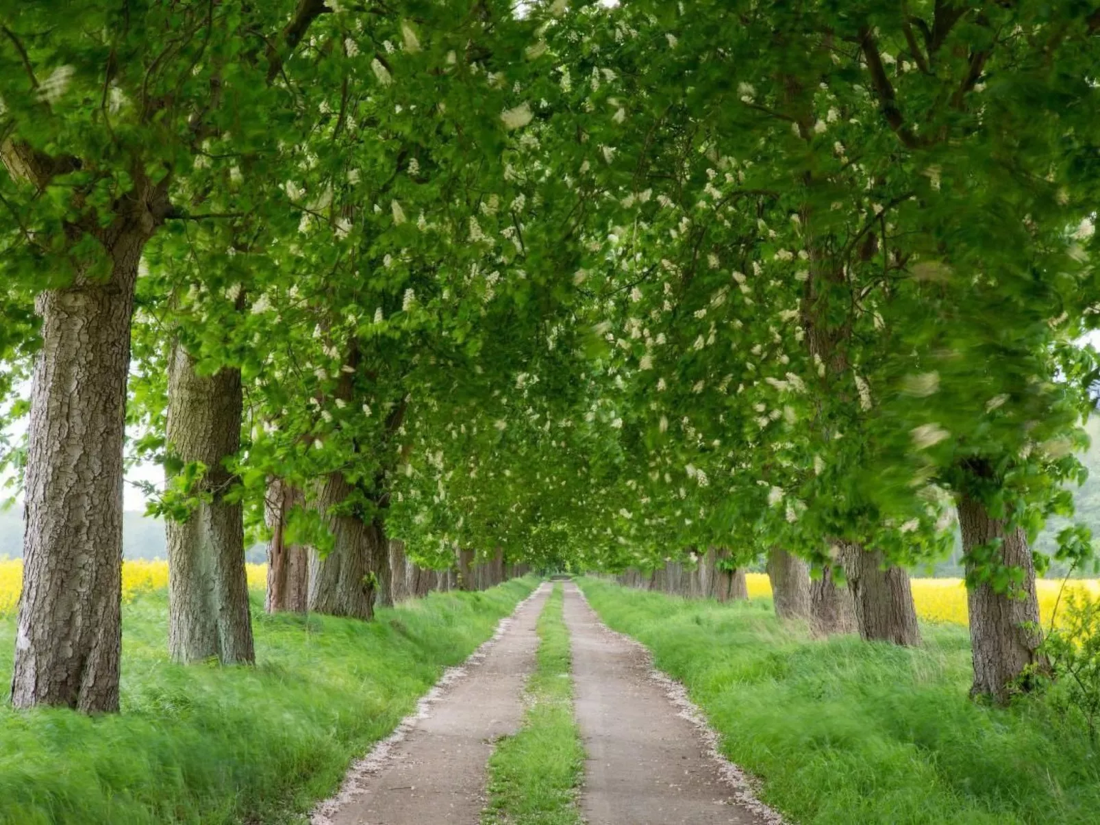 Müritzblick 35 OG-Buiten