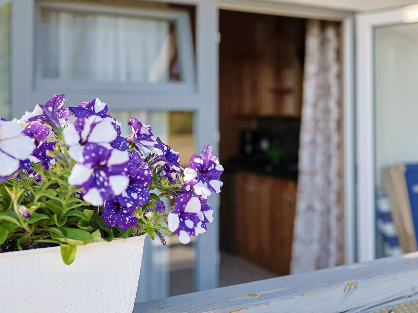 "Aurora 3" mit Terrasse-Binnen