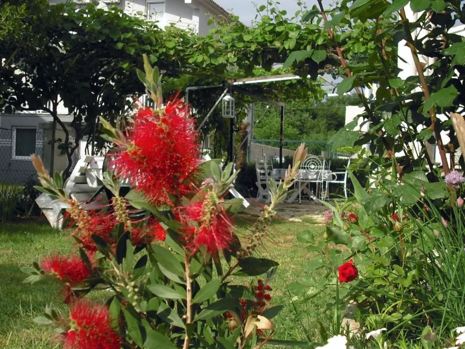 In Pula mit Grill, Terrasse und Garten-Buiten