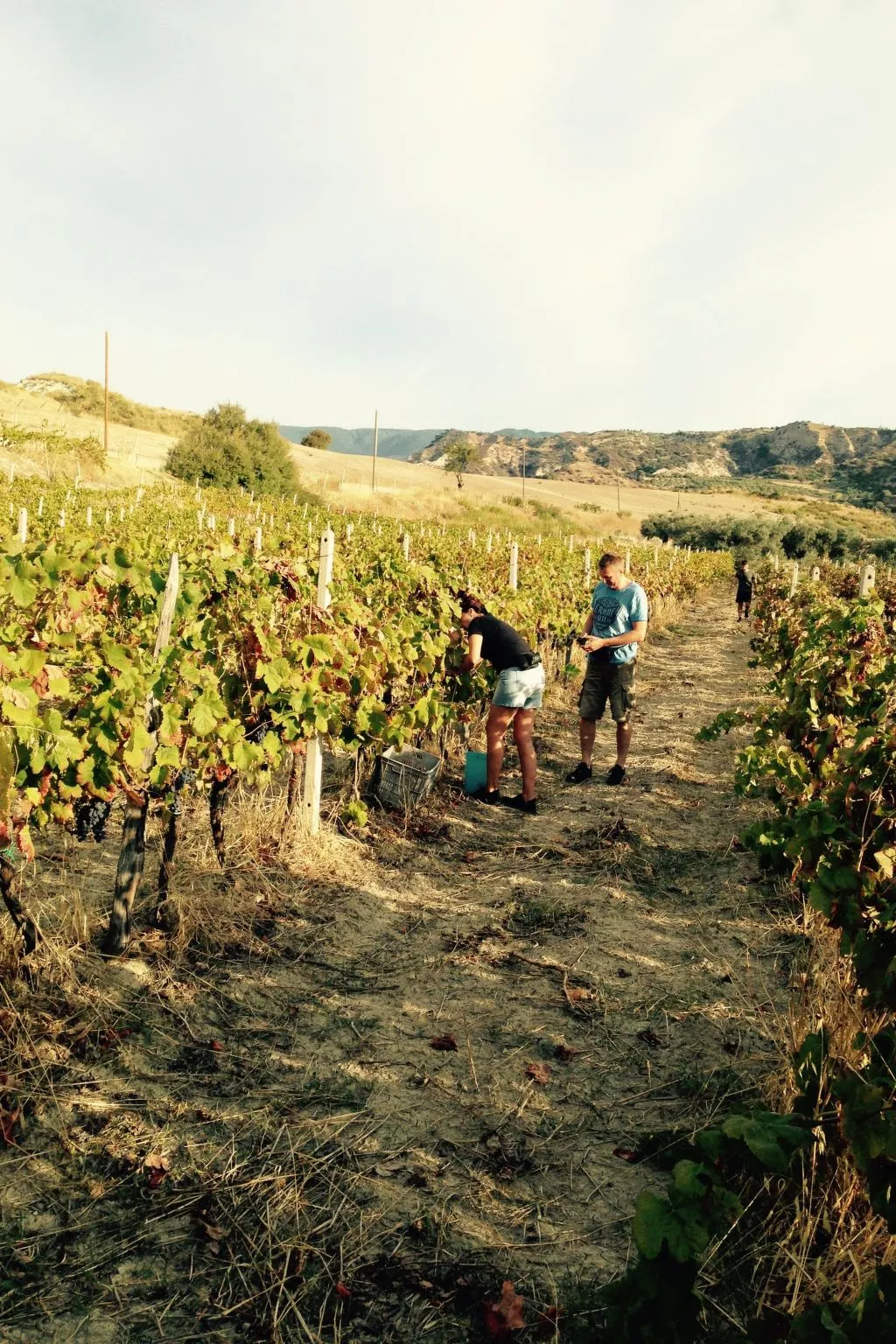 In Badolato Marina-Image-tags.info