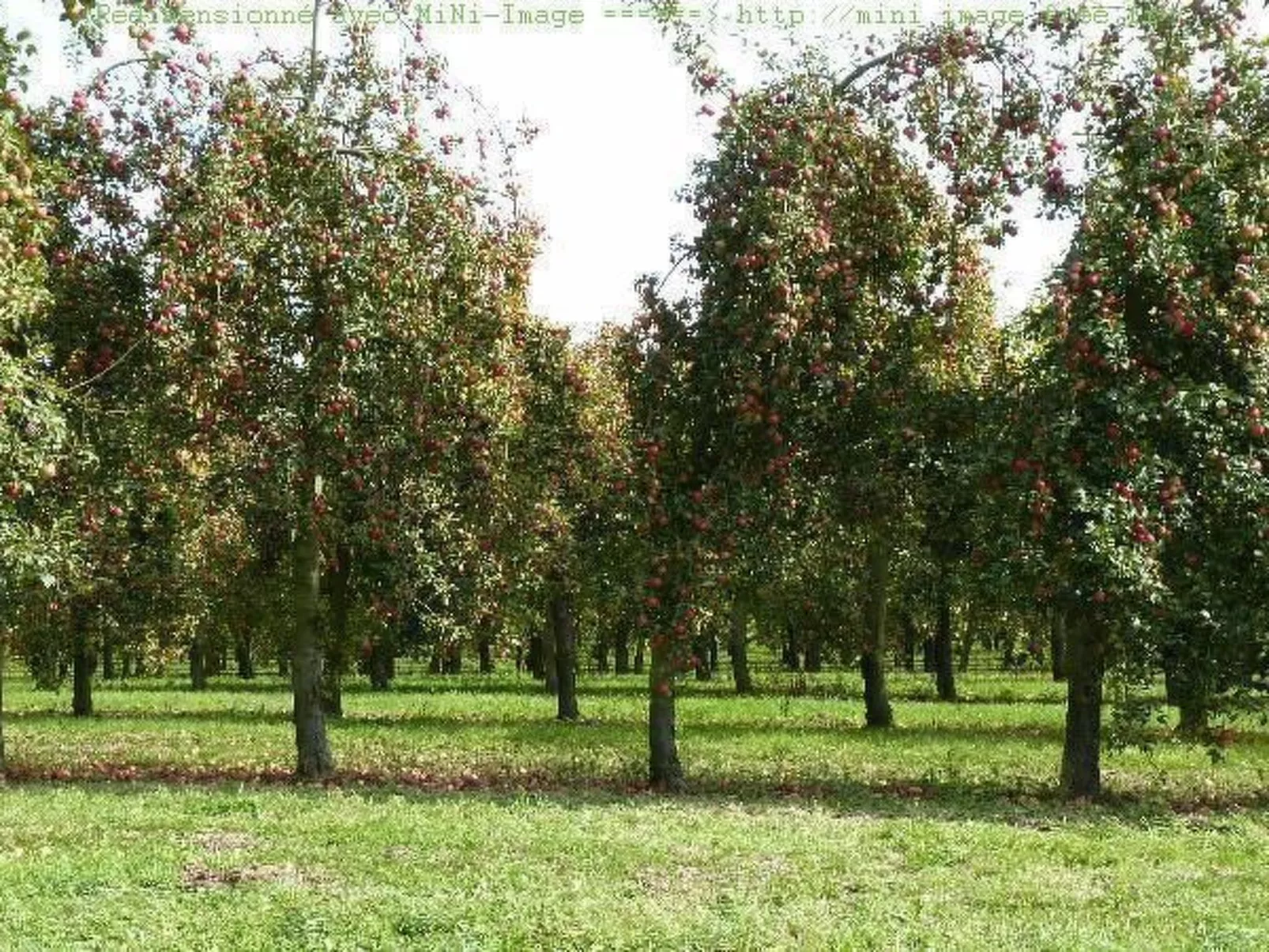 Wohnung "Le Caducée" mit Terrasse-Buiten