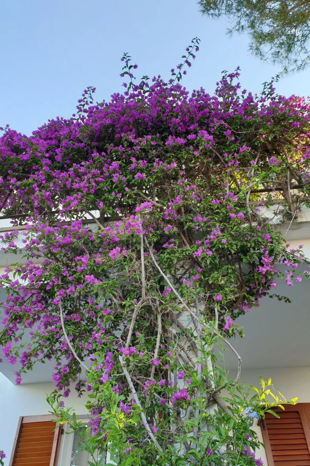 Direkt am Wasser-Buiten